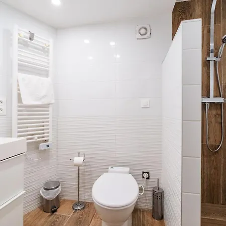 Souplex En Hypercentre Apartman