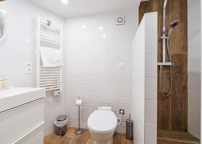 Souplex En Hypercentre Apartment